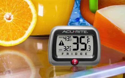 What Temperature Should a Refrigerator Be? Fridge Temperature Guide